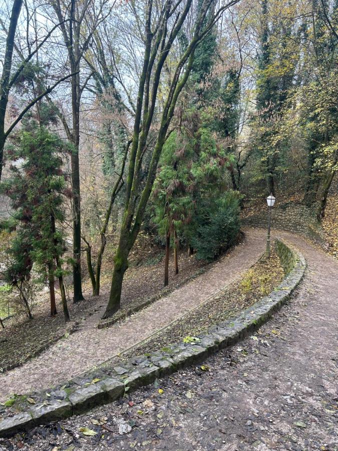 Historic Center-Lovely Nature Zagreb Exteriör bild