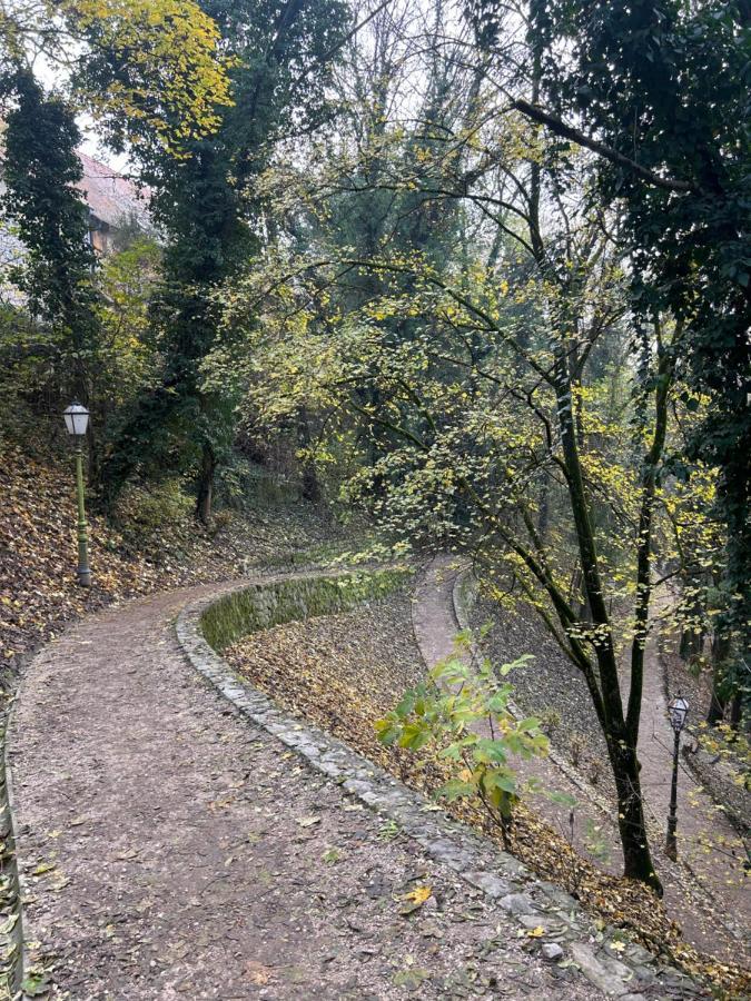 Historic Center-Lovely Nature Zagreb Exteriör bild